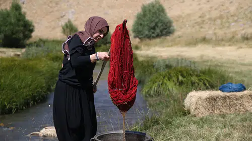 Ata mirası kök boya geleneğini gelecek kuşaklara aktarıyor