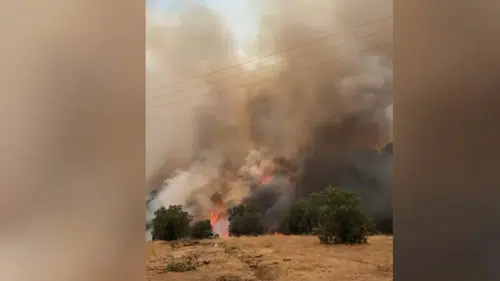 Malatya'da çıkan orman yangınına Kahramanmaraş’tan destek