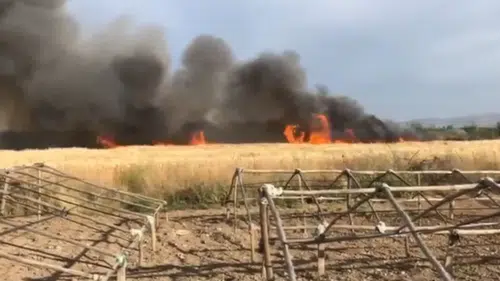 Güneydoğu'da anız yangınlarıyla mücadele sonuç veriyor