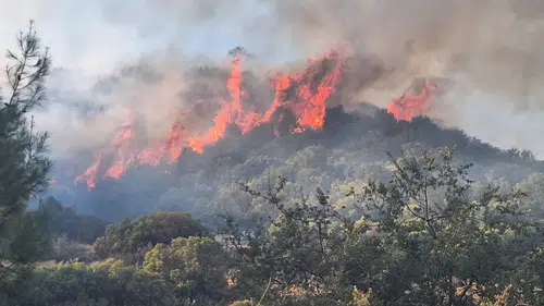 Kaş’ta makilik alanda yangın! Ekipler alevlere müdahale ediyor
