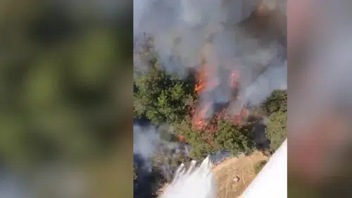 Balıkesir'de orman yangını! Ekipler havadan ve karadan destek veriyor