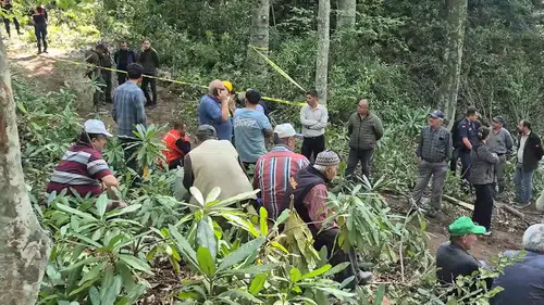 Kesim yapılırken devrilen ağacın altında kalan işçi öldü