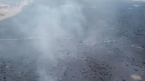 Elazığ'da ormana sıçrayan yangına müdahale ediliyor