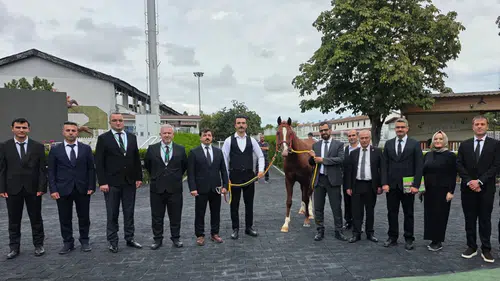 TİGEM’in 2026’daki ilk elit tay müzayedesinde 51,6 milyon TL’lik satış