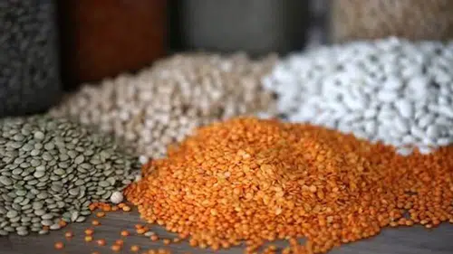 Güneydoğu Anadolu’dan 8 ayda 2,5 milyar dolarlık hububat ihracatı