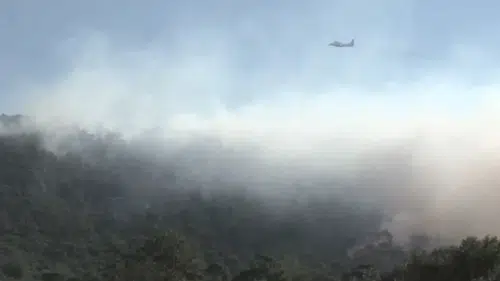 Muğla'da çıkan orman yangını! Ekipler sahada görevde