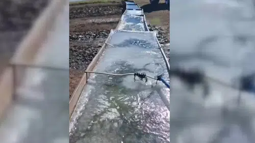 Kars'ta soğuk hava nedeniyle su savakları dondu