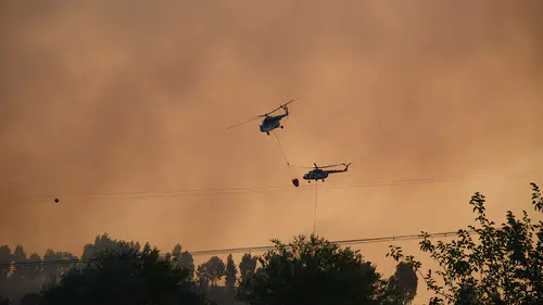 Adana’da orman yangını! 3 uçak, 9 helikopter, 2 İHA müdahale ediyor