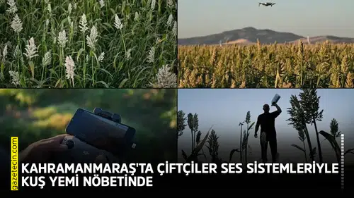 Kahramanmaraş'ta çiftçiler ses sistemleriyle kuş yemi nöbetinde