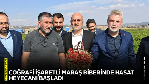 Coğrafi işaretli Maraş Biberinde hasat heyecanı başladı