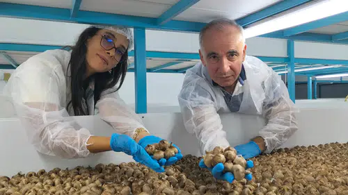 Topraksız tarımla önce kendi üretti şimdi danışmanlık yapıyor