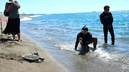Uydu cihazı takılan yeşil deniz kaplumbağası denize bırakıldı
