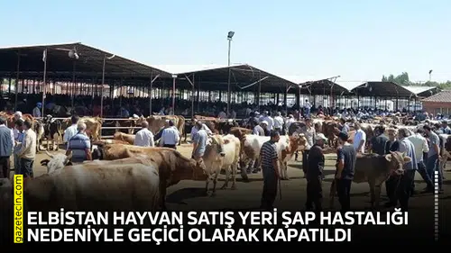 Elbistan Hayvan Satış Yeri şap hastalığı nedeniyle kapatıldı