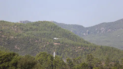 Antalya ve Adana'da ormanlık alandaki yangınlara havadan ve karadan destek