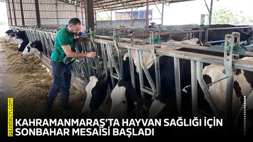 Kahramanmaraş’ta hayvan sağlığı için sonbahar mesaisi başladı