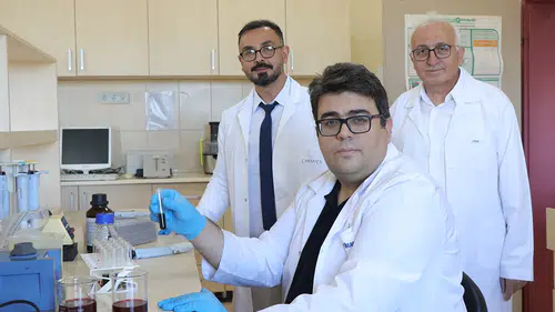 Şalgam suyundan izole edilen bakteri kanser hücrelerini azaltıyor