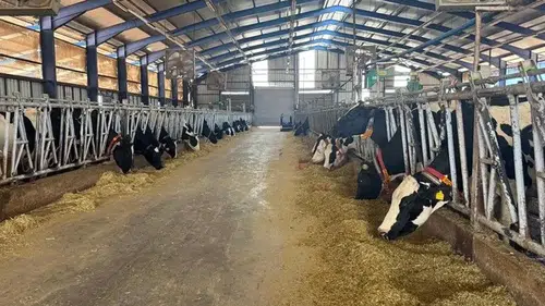 MAKÜ bünyesinde Tarım ve Hayvancılık Teknolojileri Enstitüsü kuruldu