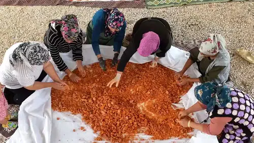 Uşaklı kadınlar imece usulü üretimle tescilli tarhanayı sofralara taşıyor