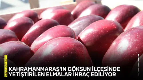 Kahramanmaraş'ın Göksun ilçesinde yetiştirilen elmalar ihraç ediliyor