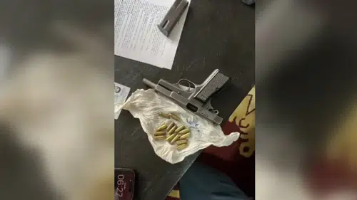 Van'da silah ve mühimmat ele geçirildi, 10 şüpheli tutuklandı