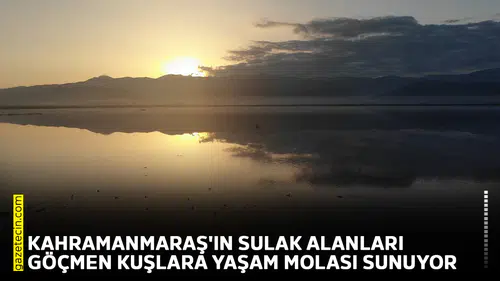 Kahramanmaraş'ın sulak alanları göçmen kuşlara yaşam molası sunuyor