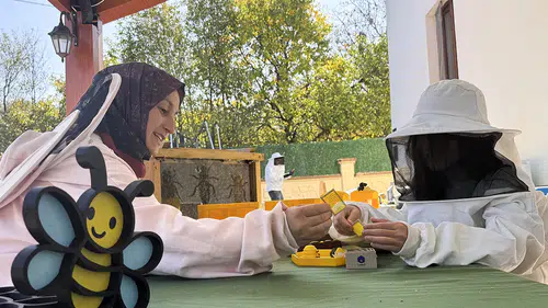 Kimya mühendisi anne çocuklara cam kovanla arıların dünyasını anlatıyor