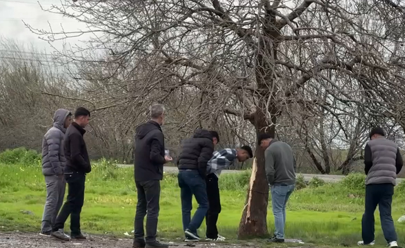 Diyarbakır'da ağaca yıldırım isabet etmesi sonucu 2 çocuk öldü
