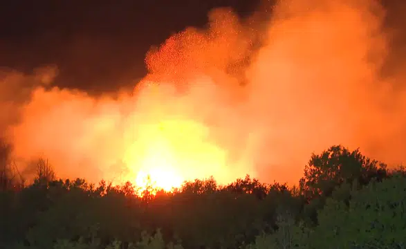 Beykoz’da ormanlık alanda çıkan yangına müdahale sürüyor