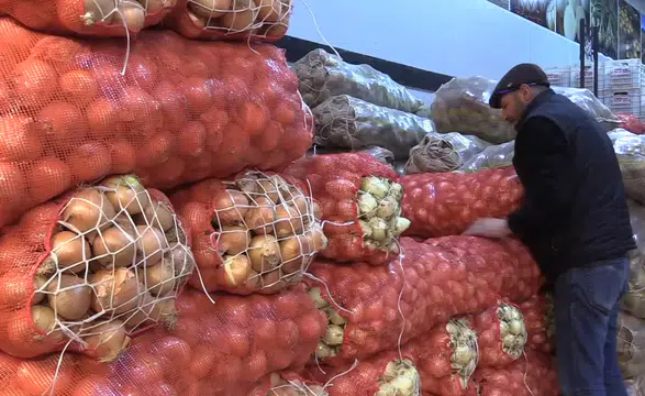 Kuru soğan ihracatı ilk çeyrekte yaklaşık 15 kat arttı