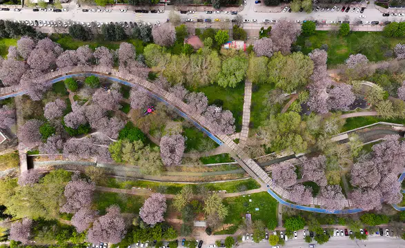 Doğanın renklerinden görsel şölen