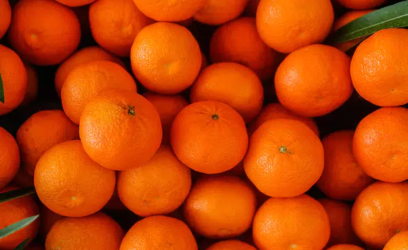 Türkiye yılın ilk çeyreğinde en fazla mandalinayı Irak'a, limonu Rusya'ya sattı