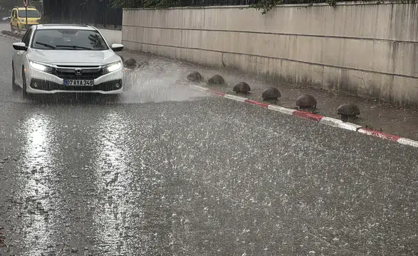 Yağış artışı barajlardaki su rezervlerine olumlu yansıdı