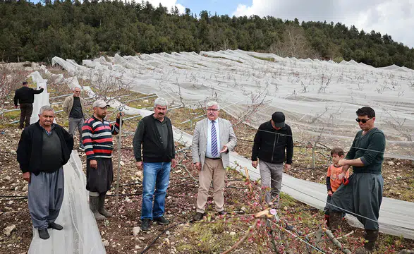 Kar yağışının zarar verdiği tarım alanları incelendi