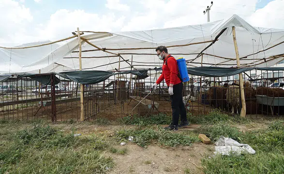 Kahramanmaraş’ta temizlik ve ilaçlama çalışmaları aralıksız devam ediyor