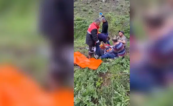 Mantar toplarken ayının saldırısına uğradı!