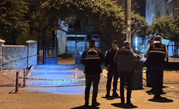 Darbedilen kadını kurtarmaya çalışan iki kardeş bıçaklandı