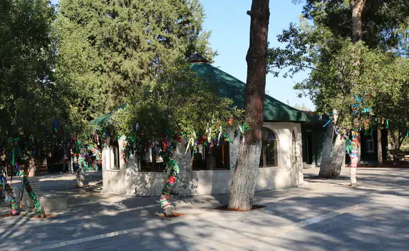 Kahramanmaraş’ta Elif Ana türbesi yerleşkesine saldıran şüpheli yakalandı