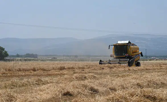 Güneydoğu’dan 5 ayda 1,5 milyar dolarlık hububat ihracatı yapıldı
