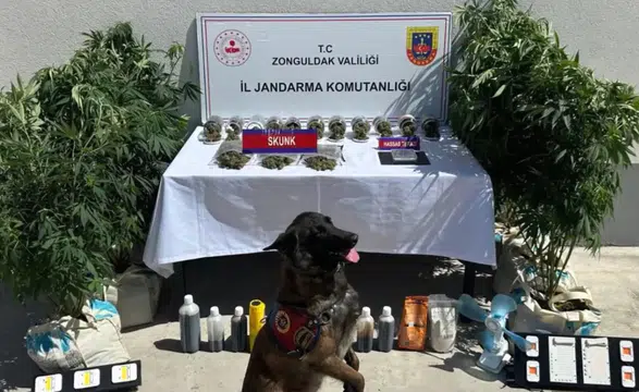 Narko Pars operasyonlarında 352 şüpheli yakalandı