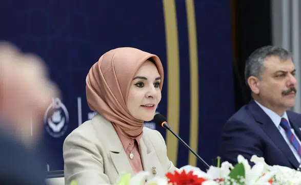 Kadına yönelik, yüksek riskli haneler tespit edilecek