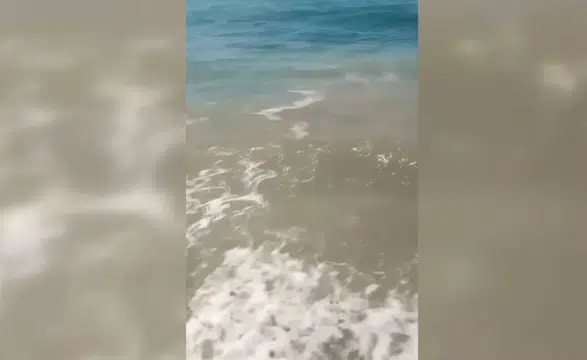 Bodrum'da denizin kirletilmesine ilişkin soruşturma başlatıldı