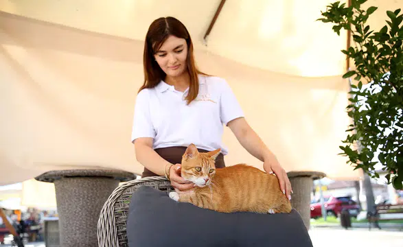 Esnafın evi ve iş yeri sahipsiz kedilerin güvenli limanı oldu