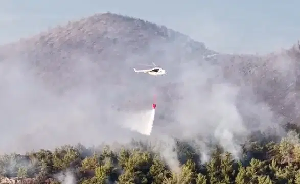 Milas'ta ormanlık alanda yangın! 1120 kişi tahliye edildi