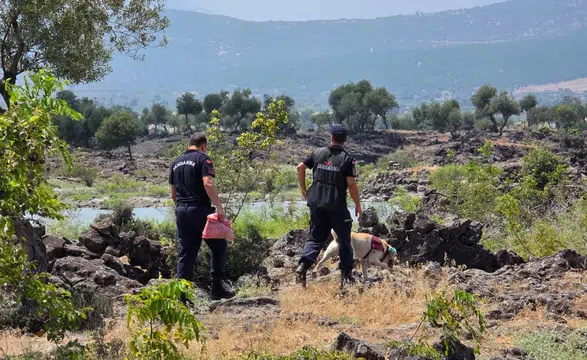 Hayvanlarını otlatmaya çıkaran kadın kayboldu!