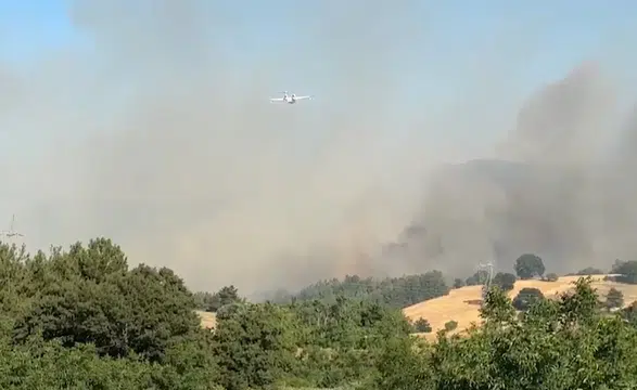 Altıeylül ilçesinde orman yangını! Yangına havadan ve karadan destek