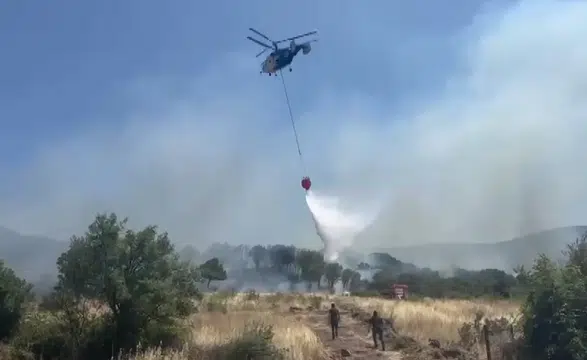 Çanakkale'de ormanlık alanda yangın!