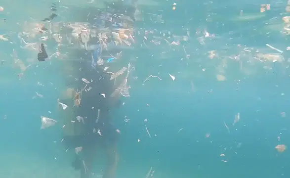 Güney rüzgarları Akdeniz kıyılarına atık taşıyor