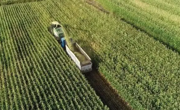 195,6 milyon liralık tarımsal destek bugün çiftçilerin hesaplarında