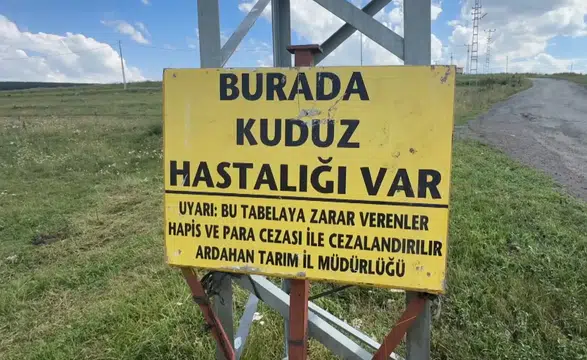 Kuduz vakası nedeniyle bir bölge karantinaya alındı
