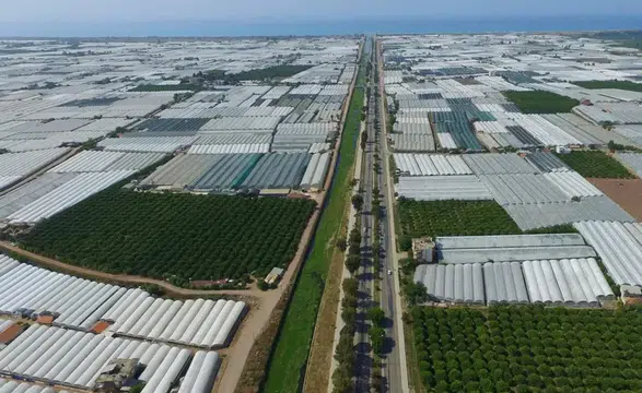 Antalya'da 200 bin dekarlık alandaki seralarda dönüşüm hamlesi